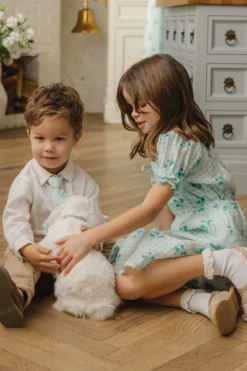 Mini Jessie Dress in Bloom Gingham
