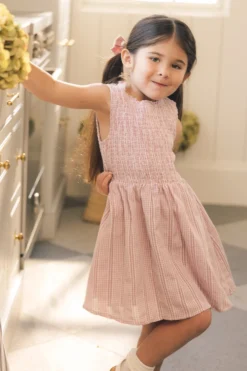 Mini Karla Dress in Pink Striped Gingham
