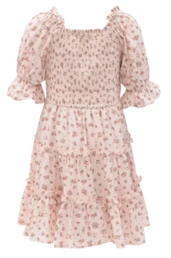 Mini Madeline Dress In Pink