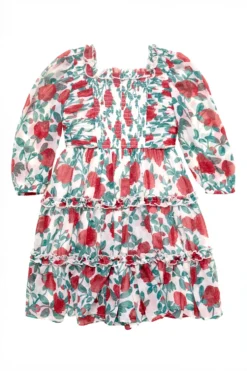 Mini Selena Dress in Red Roses