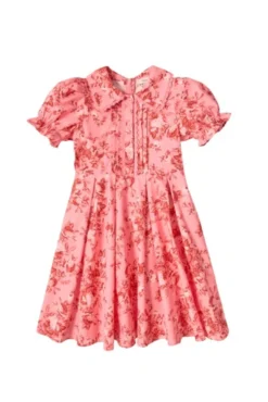Mini Sophia Dress in Desert Heritage Rose