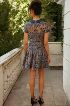 Sterling Dress in Golden Veil